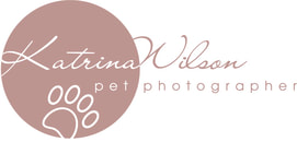 Photography volunteer